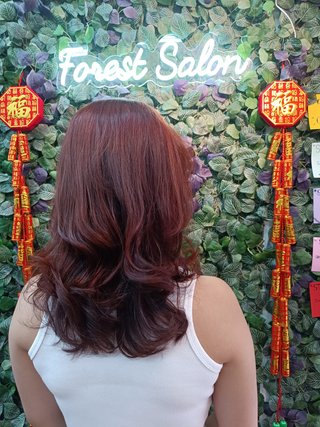 foresr-salon-colour-and-cut